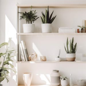 Virtual Zoom Background Home Office – Modern Bookshelf for Zoom