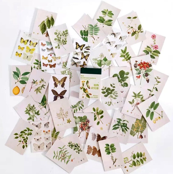 50 Page Sticker Book 6 DIFFERENT THEMES Retro Stickers Etsy