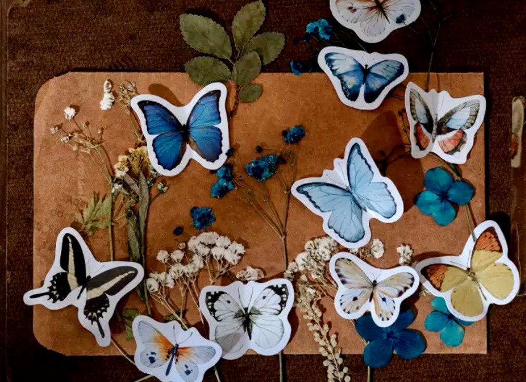 Butterfly Sticker Set - Nature Stickers - Scrapbook Supplies - Craft ...