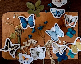 Butterfly Sticker Set - Nature Stickers - Scrapbook Supplies - Craft Stickers - Planner Stickers - Fairytale Stickers - Decorative Stickers