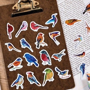Conjunto de adesivos de pássaros coloridos - Suprimentos para diário - Suprimentos para scrapbook - Suprimentos para artesanato - Adesivos decorativos - Adesivos de floresta