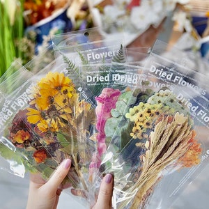Adesivos grandes de flores prensadas - Suprimentos para diário criativo - Adesivos para scrapbook - Suprimentos para artesanato - Suprimentos para arte de colagem - Folhas secas