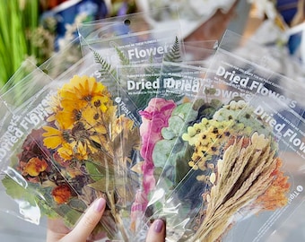 Große gepresste Blumen Aufkleber - Kreativer Journaling Zubehör - Scrapbook Aufkleber - Bastelbedarf - Collage Künstler Zubehör - Getrocknete Blätter
