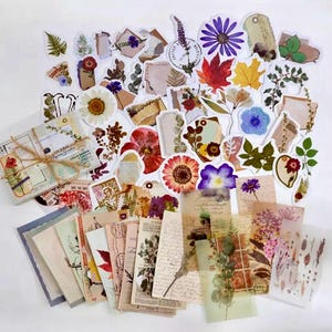 Pode incluir: Uma cole&ccedil;&atilde;o de adesivos e ef&ecirc;meros florais e bot&acirc;nicos de estilo vintage. Os adesivos apresentam flores prensadas, folhas e outros elementos naturais. Os ef&ecirc;meros incluem postais antigos, cartas e outros ef&ecirc;meros de papel. Os adesivos e os ef&ecirc;meros s&atilde;o perfeitos para scrapbooking, journaling e outros projetos de artesanato.