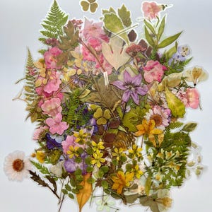 40 adesivos de flores prensadas - adesivos criativos para diário - suprimentos para scrapbook - adesivos artesanais - adesivos botânicos - adesivos da natureza