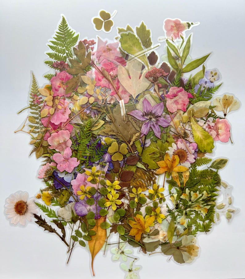 Puede incluir: Una colecci&oacute;n de flores y hojas prensadas en varios tonos de rosa, amarillo, verde y morado. Las plantas prensadas est&aacute;n dispuestas en forma de ramo y est&aacute;n listas para ser utilizadas en proyectos de artesan&iacute;a.