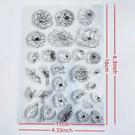 Telaio Di Olive. Illustrazioni Vettoriali Di Rami Con Frutta E Foglie Per La Creazione Di Loghi Schemi Biglietti Auguri Modelli Inviti Image248544094