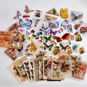 Pode incluir: Uma cole&ccedil;&atilde;o de adesivos de estilo vintage com borboletas, cogumelos e outros designs inspirados na natureza. Os adesivos s&atilde;o impressos em papel branco e t&ecirc;m um visual ligeiramente desgastado. Alguns dos adesivos t&ecirc;m um design de carimbo vintage.