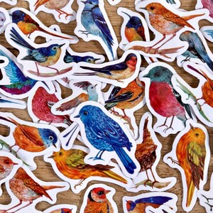 Colourful Bird Stickers - Scrapbooking Supplies - Card Making Stickers - Craft Supplies - 46 Journal Stickers - Aesthetic Stickers - Collage