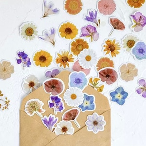 Mélange d'autocollants tournesol et marguerite - 46 autocollants floraux - Autocollants de scrapbooking - Fournitures pour carnets - Fournitures pour carnets indésirables - Autocollants décoratifs