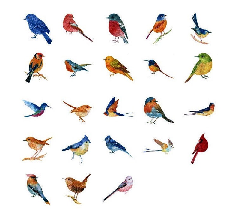 Colourful Bird Sticker Set - Journal Supplies - Scrapbook Supplies ...