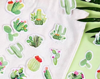 45 Succulent Plant Stickers - Aesthetic Stickers - Decorative Stickers - Scrapbook Supplies - Junk Journal Stickers - Craft Stickers -