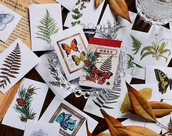 Libro de pegatinas con estilo vintage - CUATRO OPCIONES - 50 pegatinas estéticas - Materiales para scrapbooking - Materiales para manualidades - Pegatinas multiusos - Collage