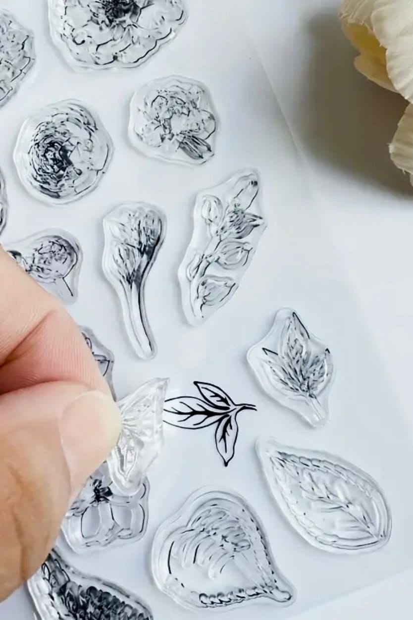 Telaio Di Olive. Illustrazioni Vettoriali Di Rami Con Frutta E Foglie Per La Creazione Di Loghi Schemi Biglietti Auguri Modelli Inviti Image248543040