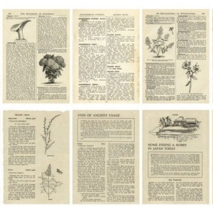 Vintage Book Themed Paper - Scrapbook Supplies - Craft Supplies - Creative Journalling Paper - Decorative Paper - Collage Supplies Botanical