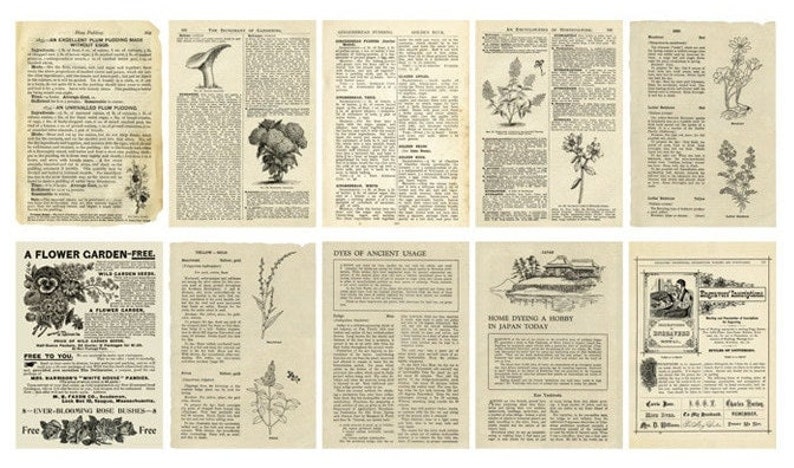 Vintage Book Themed Paper - Scrapbook Supplies - Craft Supplies - Creative Journalling Paper - Decorative Paper - Collage Supplies Botanical
