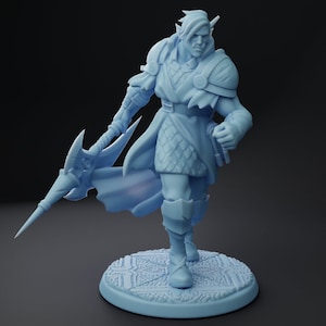 Denthir The Warrior , Twin Goddess Miniatures , Tabletop RPG , DnD , Pathfinder , 3D Printed Miniatures