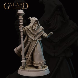 Cryo the Court Wizard Galaad Miniatures Tabletop RPG Dnd