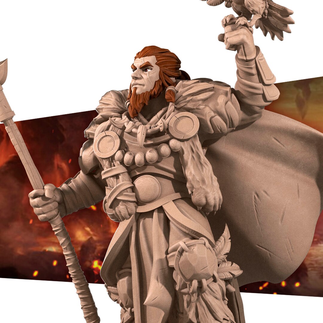take0525さま専用 DIABLO4 BARBARIAN DRUID セット