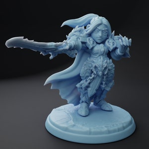 Runa The Antipaladin  , Twin Goddess Miniatures , Tabletop RPG , DnD , Pathfinder , 3D Printed Miniatures