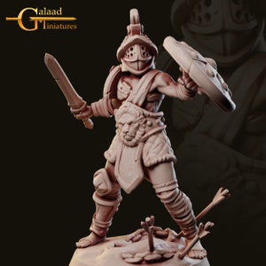Male Gladiator , Galaad Miniatures , Tabletop RPG , DnD , Pathfinder , 3D Printed Miniatures