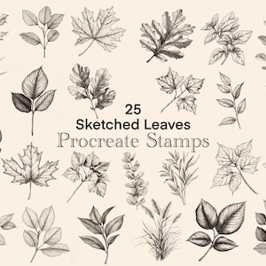 Set of 25 Leaves Stamps, Leaves Procreate Brushes, Commercial Licence included