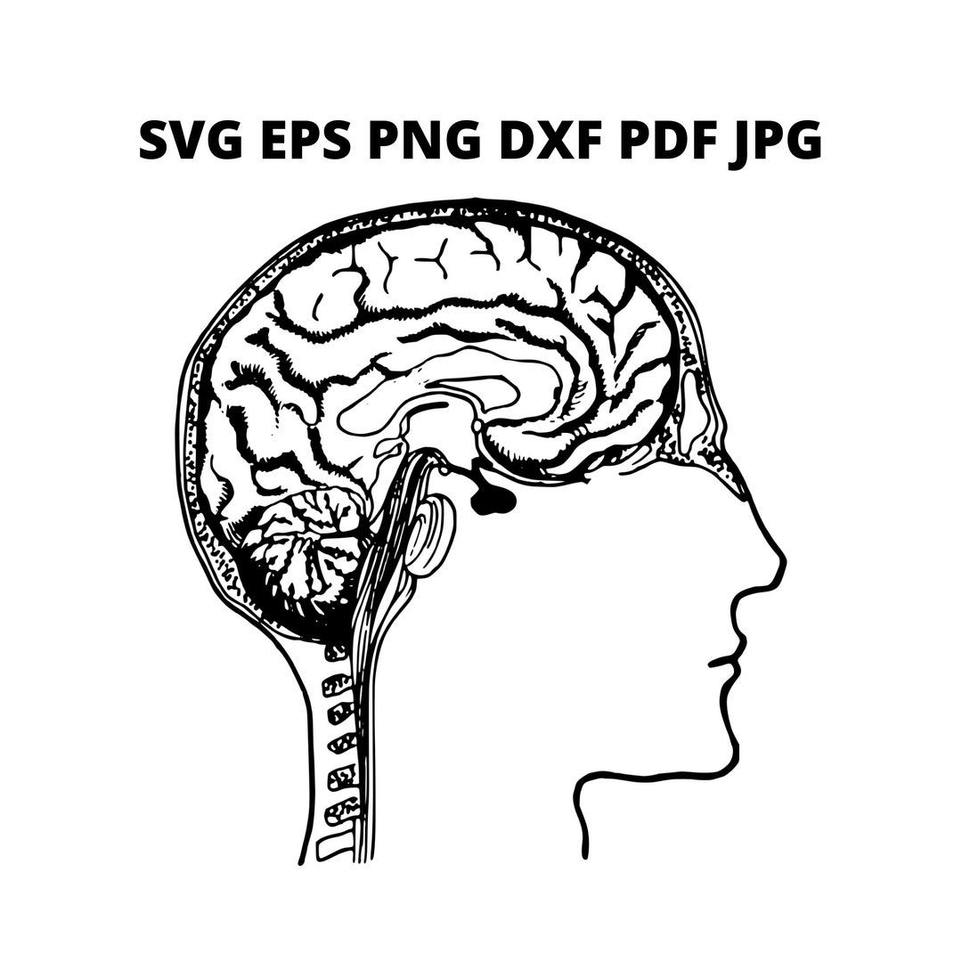 Brain in Head SVG Clipart, Real Brain Picture Print on Demand Download, Black White Brain