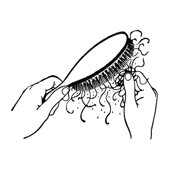 Hair Brush Clipart Black And White