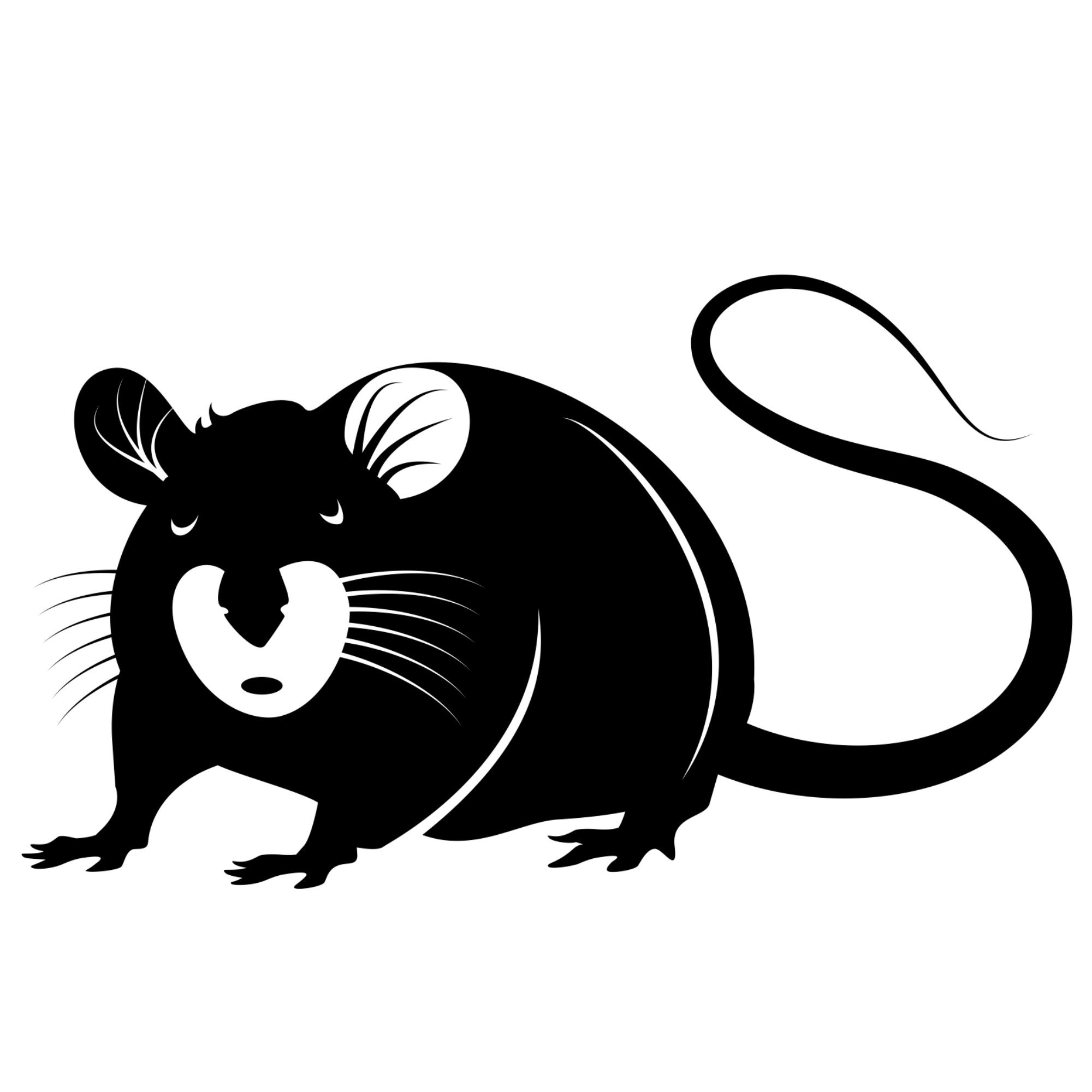 Black and White MOUSE SVG Clipart Rat Picture Digital Etsy Finland
