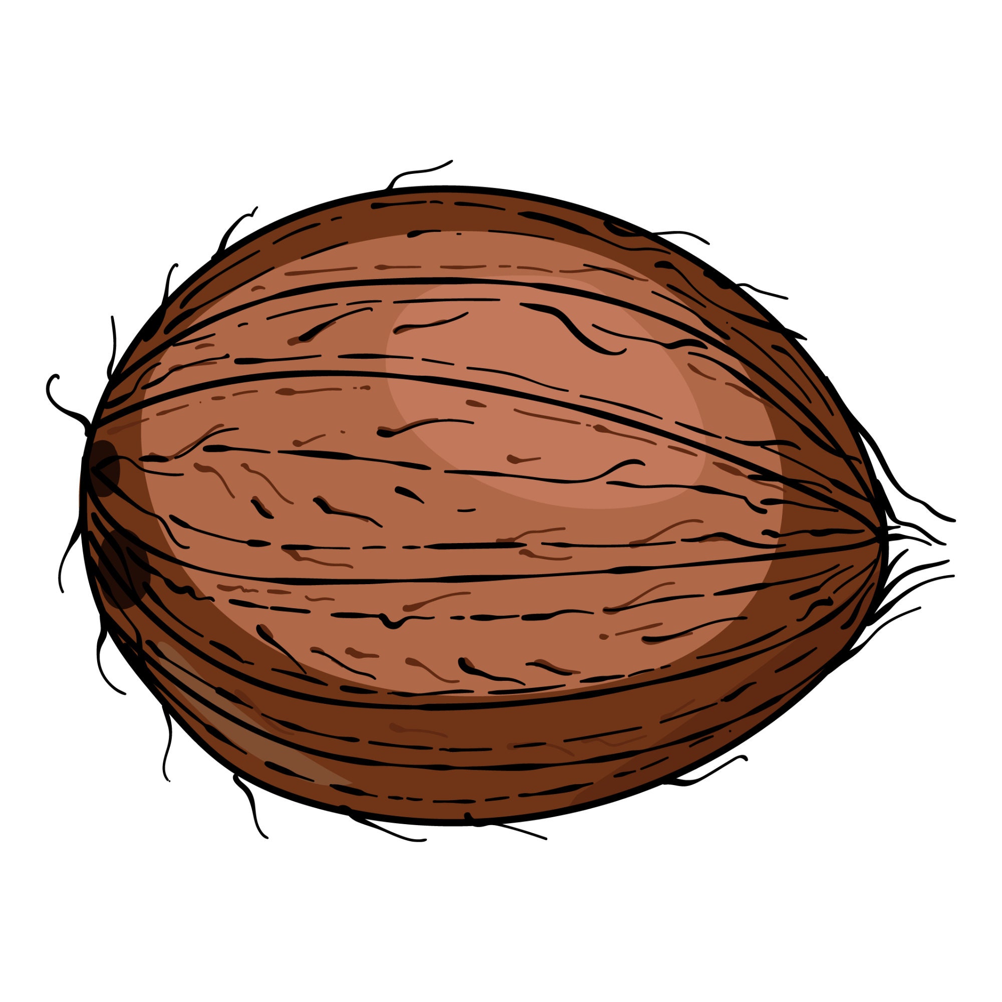 Coconut in Color SVG Clipart Hand Drawn Coconut Image Digital - Etsy UK