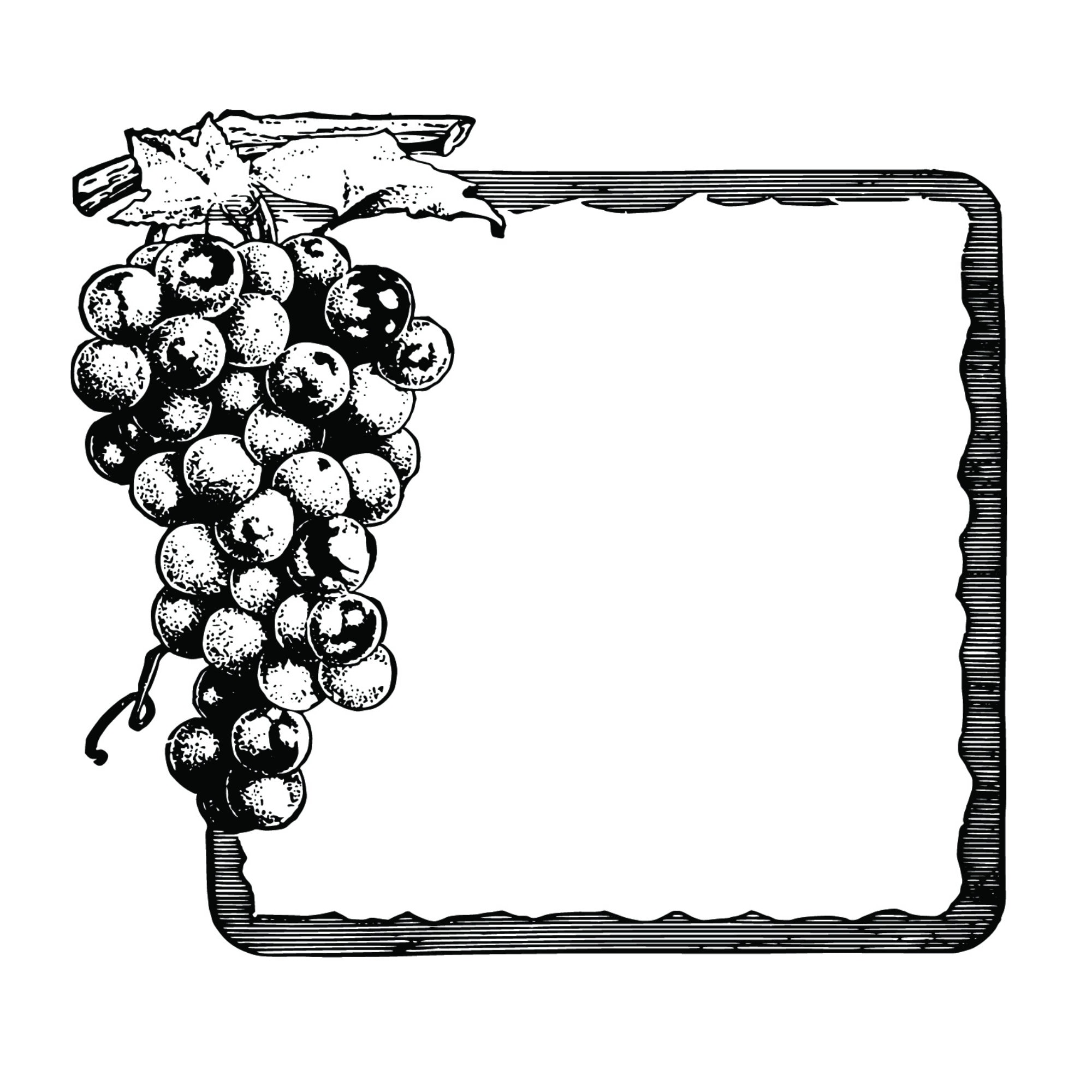 Vine Border Clipart Black And White