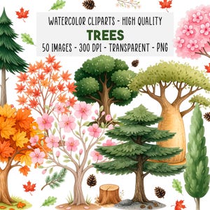 50 träd akvarell clipart PNG-set, skog, ek, tall lönn, lövgrenillustrationer, natur- och skogsmarksgrafik, direktnedladdning
