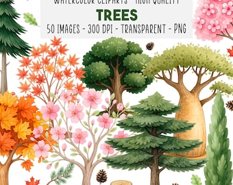 50 Trees Watercolor Clipart PNG Set, Forest, Oak, Pine Maple, Leaf Branch Illustrations, Nature & Woodland Graphics, Instant Download