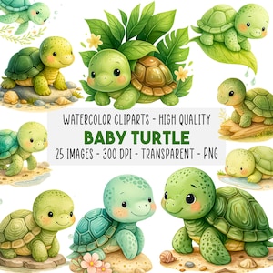 25 Baby Turtle Watercolor Clipart, Cute Sea Turtle PNG, Nursery Wall Art, Ocean Animals, Kids Party & Baby Shower Decor, Instant Download