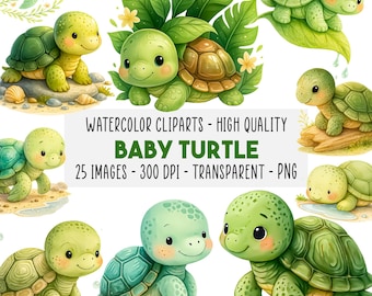 25 Baby Turtle Watercolor Clipart, Cute Sea Turtle PNG, Nursery Wall Art, Ocean Animals, Kids Party & Baby Shower Decor, Instant Download