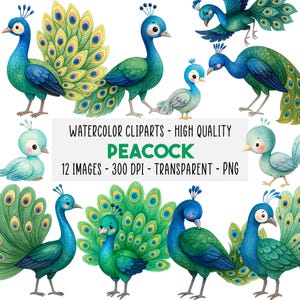 Puede incluir: Conjunto de imágenes prediseñadas de acuarela con varias ilustraciones de pavos reales en tonos azules y verdes. Las imágenes incluyen pavos reales adultos con elaboradas plumas de cola y pavos reales más pequeños y juveniles. El texto de la imagen dice "PEACOCK" y "WATERCOLOR CLIPARTS - HIGH QUALITY".