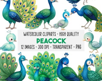 12 Peacock Watercolor Clipart PNG, Elegant Bird Illustrations, Printable Wildlife Art, Junk Journal, Paper Crafts, Instant Download