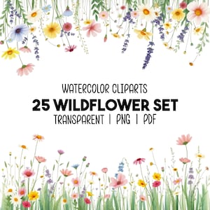 25 Watercolor Wildflower Border PNG PDF, Pastel Boho Floral Clipart Set, Botanical Frame for Invitations, Wedding Flowers Clip Art Bundle