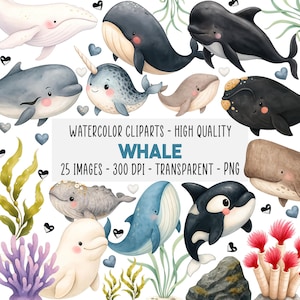 Peut inclure: Ensemble de cliparts aquarelle représentant diverses illustrations de baleines dans des tons de bleu, de gris et de blanc. L'image comprend un narval, une orque et d'autres espèces de baleines, avec du texte "WHALE".