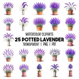 25 Cliparts de Lavande en Pot, Fleurs de Lavande Aquarelle, Pot Rose Poudré PNG, PDF, Art Botanique Imprimable, Journal Créatif Scrapbooking
