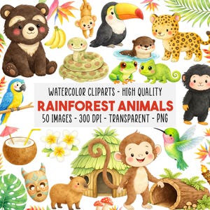 May include: A collection of watercolour clipart featuring rainforest animals such as a toucan, monkey, jaguar, and bear. The image includes the text "RAINFOREST ANIMALS" and "50 IMAGES - 300 DPI - TRANSPARENT - PNG".