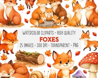25 Zorro Acuarela Clipart Lote PNG, Lindos Zorros del Bosque, Animales del Bosque de Otoño, Familia & Bebé Zorro, Descarga Instantánea