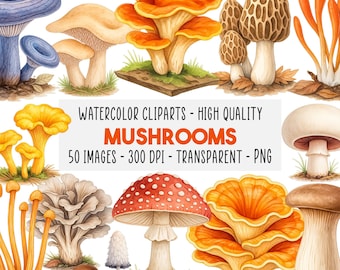 50 Mushrooms Watercolor Clipart Bundle, Forest Toadstools, Cute Magical Mushroom PNGs, Autumn & Woodland Illustrations, Instant Download