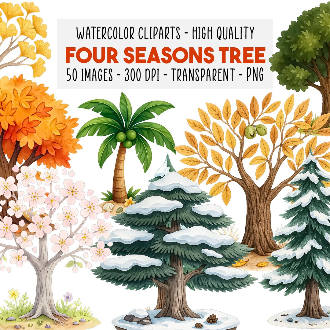 50 Four Seasons Tree Watercolor Clipart PNG, Spring Summer Autumn ...