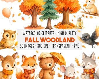 50 Watercolor Fall Woodland Clipart, Transparent Cute Forest Animal PNG