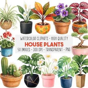 50 Cliparts Plantes d’Intérieur Aquarelle PNG, Plantes en Pot, Succulentes Cactus Botanique, Scrapbooking, Téléchargement Instantané