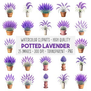 25 Waterverf Pot Lavendel Clipart, Boho Bloemen Png, DIY Knutsel Trouwuitnodiging, Printbare Kunst, Direct Download Commercieel Gebruik