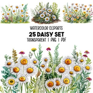 25 Cliparts PNG de Bordure de Marguerites Aquarelle 25 Fleurs de Camomille Peintes à la Main, Mariage, Planificateur, Scrapbooking, Carterie