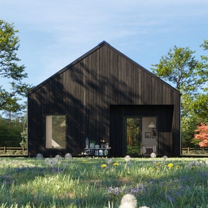 May include: A modern, black-clad house with a gabled roof, set in a lush green meadow. The house features a window and sliding glass doors, with a glimpse of the interior. Trees frame the house, and the sky is blue.