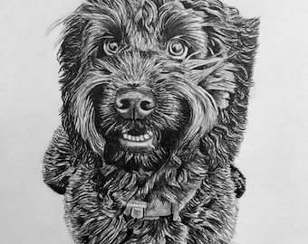 Commission portrait, pet portrait. Hand-drawn in pencil graphite